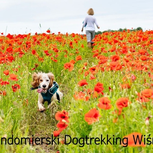 III Sandomierski Dogtrekking Wiśniowy
