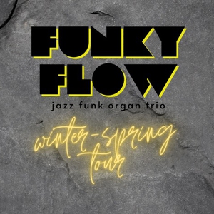 Koncert Funky Flow - Lapidarium pod Ratuszem