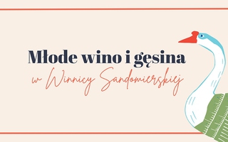 Święto młodego wina i gęsiny w Winnicy Sandomierskiej