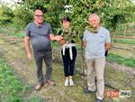 agroSFERA: Uprawa minikiwi w Darominie  | STV.INFO