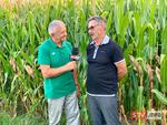 agroSFERA: Dziki bliżej ludzi. Rekompensaty za straty w rolnictwie | STV.INFO