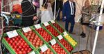 W Sandomierzu trwają 32. Spotkania Sadownicze. Gościem drugiego dnia wydarzenia będzie minister rolnictwa [FOTO]
