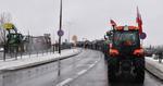 "Przepraszamy za utrudnienia, mamy Zielony Ład do obalenia". Rolniczy protest trwa w Sandomierzu [FOTO]