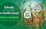 Szkody powstałe w wyniku suszy - nabór wniosków i stawki pomocy