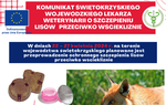 Komunikat Świętokrzyskiego Wojewódzkiego Lekarza Weterynarii o szczepieniu lisów przeciwko wściekliźnie