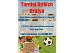 Turniej "Dzikich Drużyn"  - MOSiR Sandomierz