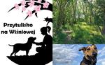 Zielony wybieg dla Przytulnych