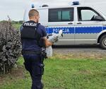 Ranny bocian i sarna trafili pod opiekę weterynarzy
