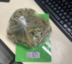 Dwa narkotykowe zatrzymania jednego dnia. Łącznie blisko 600 gramów substancji zabronionych i krzewy konopi zabezpieczyli sandomierscy policjanci