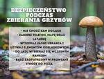 Podczas grzybobrania nie zapominajmy o bezpieczeństwie