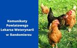 Pismo Powiatowego Lekarza Weterynarii w Sandomierzu dotyczące niekorzystnej sytuacji epizootycznej w związku z  grypą ptaków.