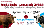 Ekoschemat "Dobrostan zwierząt" Dodatkowe pieniądze dla hodowców z QMP - tylko do 15 maja!