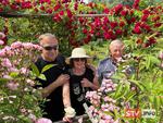 agroSFERA: Z wizytą u państwa Korzeniowskich. Różana pasja w Sandomierzu | STV.INFO