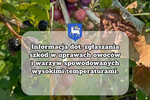 Nabór zgłoszeń szkód spowodowanych wysokimi temperaturami - Gmina Koprzywnica