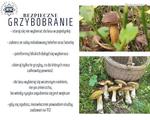 Bezpieczne grzybobranie
