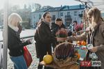 Ekologiczna akcja w Ożarowie. Wymiana ubrań i sadzonki wrzosów za baterię i makulaturę | STV.INFO